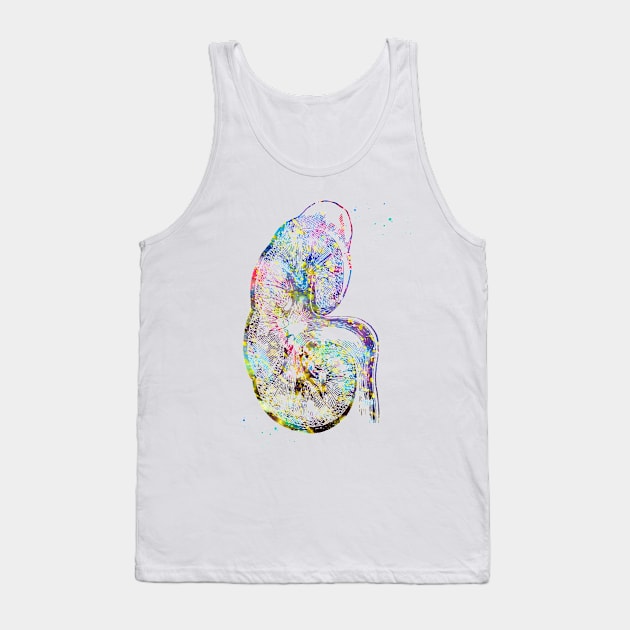 Kidney section Tank Top by erzebeth